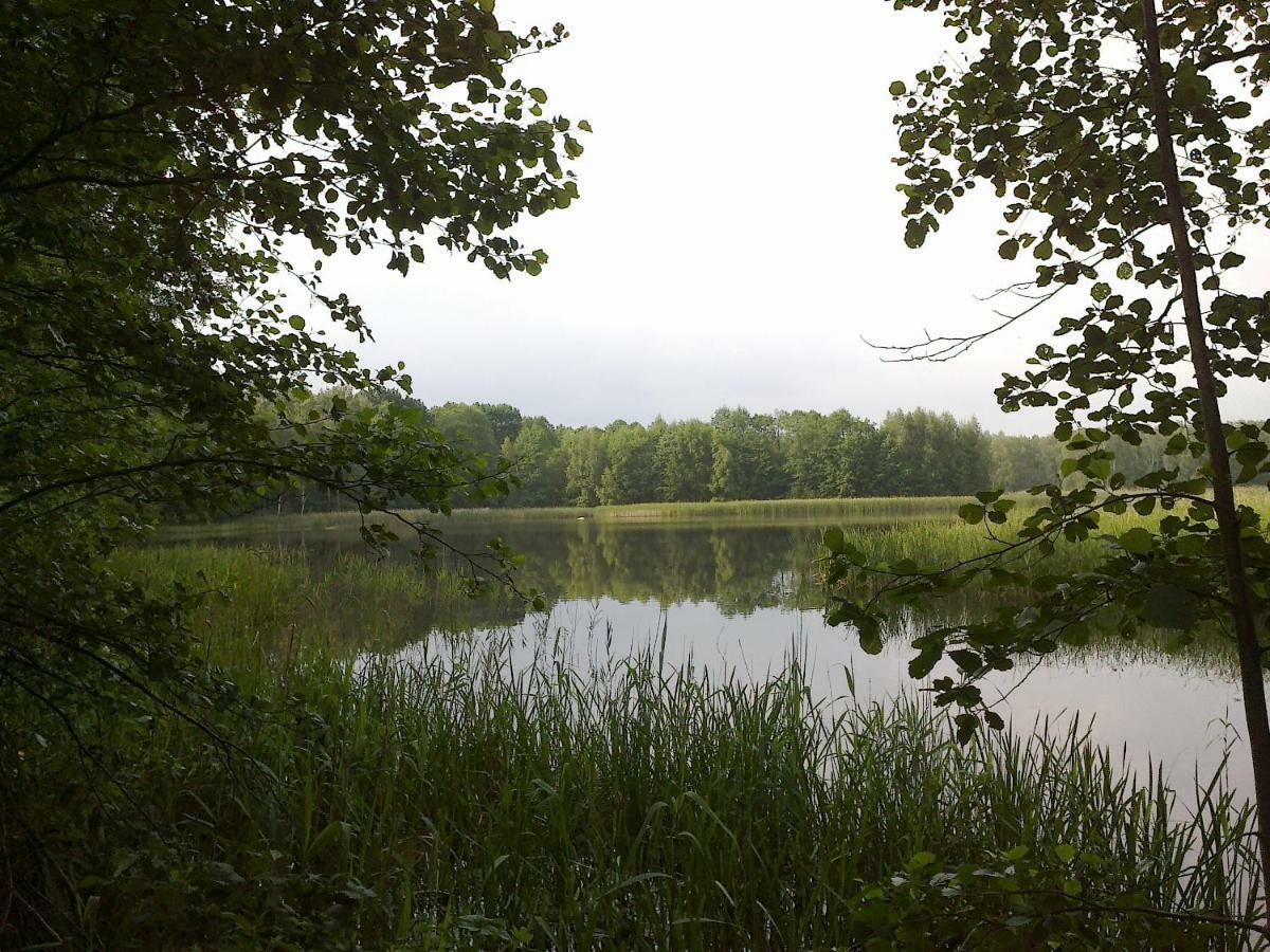 Ferienhaus Knappensee Lohsa Eksteriør bilde
